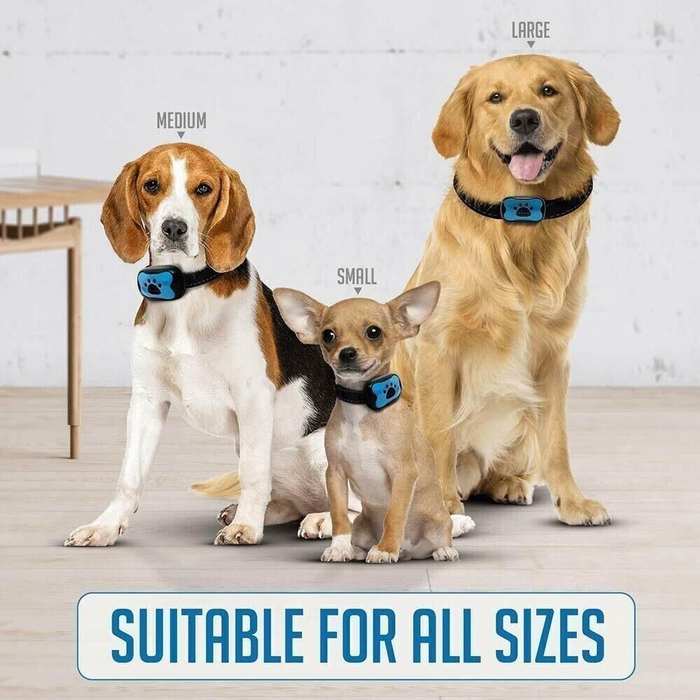 NEW Anti Bell Collar Dogs Parenting Collar Tone Vibration Dogs Pet DE