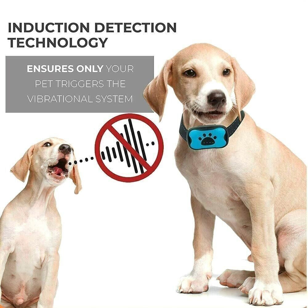 NEW Anti Bell Collar Dogs Parenting Collar Tone Vibration Dogs Pet DE