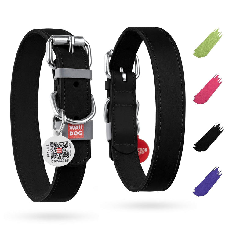 Collars, harnesses and leashes