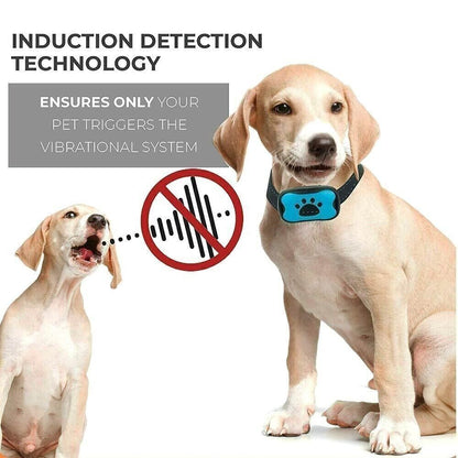 NEW Anti Bell Collar Dogs Parenting Collar Tone Vibration Dogs Pet DE